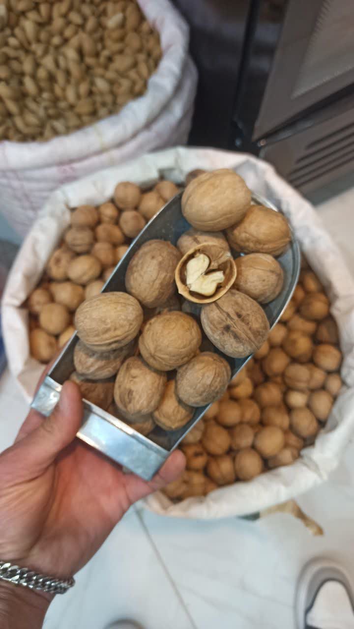 گردو پوست نازک اعلاء (عطاری آقای صادقی) نمای ۲