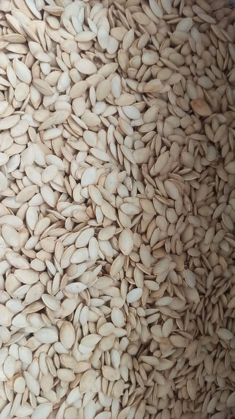 تخمه کدو گوشتی اعلاء (عطاری آقای صادقی)