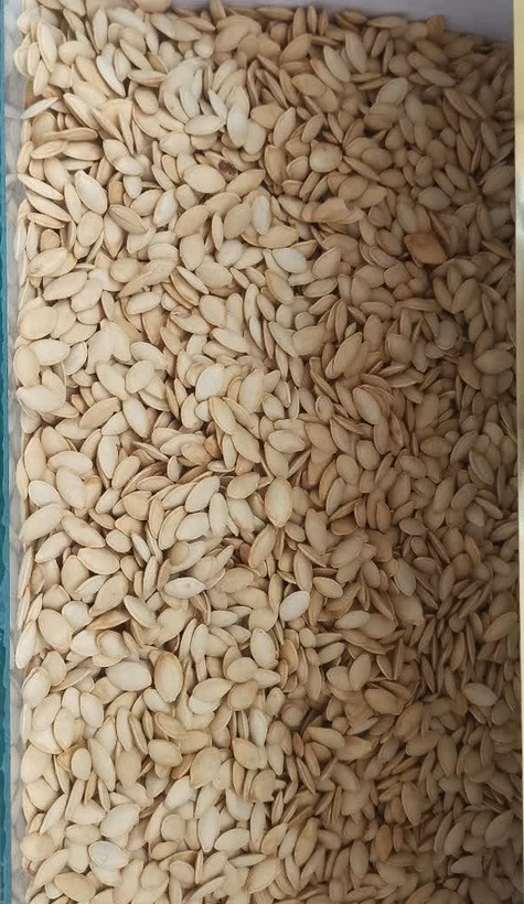 تخمه کدو گوشتی اعلاء (عطاری آقای صادقی)